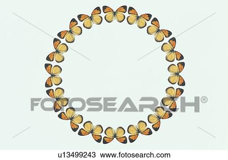 Stock Image - The Round Frame Of A Butterfly. Fotosearch