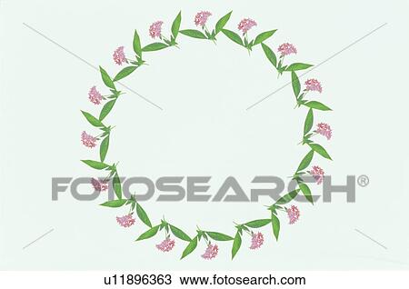 Stock Image - The Round Frame. Fotosearch