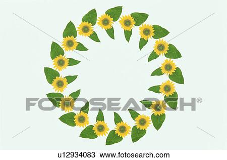 The Round Frame View Large Photo Image Stock Image - The Round Frame. Fotosearch