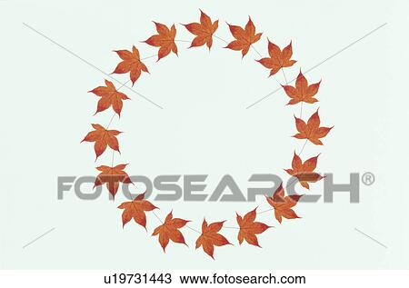 The Round Frame View Large Photo Image Stock Image - The Round Frame. Fotosearch