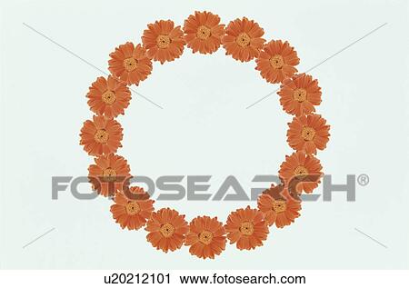 The Round Frame View Large Photo Image Stock Image - The Round Frame. Fotosearch