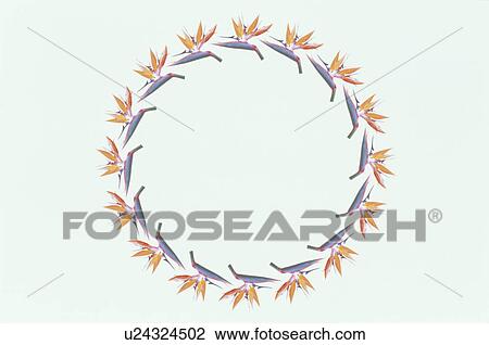 Stock Image - The Round Frame. Fotosearch