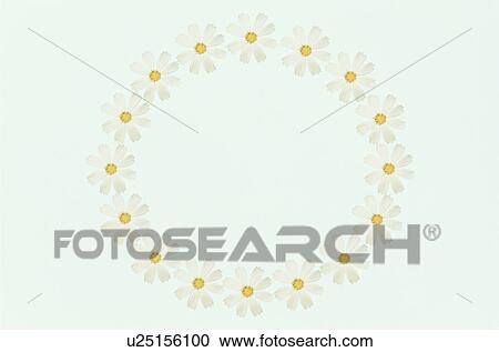 The Round Frame View Large Photo Image Stock Image - The Round Frame. Fotosearch