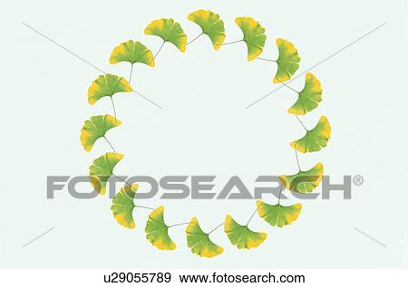 Stock Photo - The Round Frame. Fotosearch