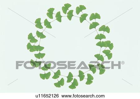 Stock Photograph - The Round Frame. Fotosearch