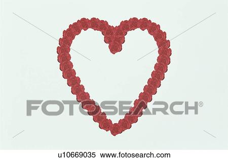 The Heart Made With The Red Rose View Large Photo Image Stock Photography - The Heart Made With The Red Rose. Fotosearch