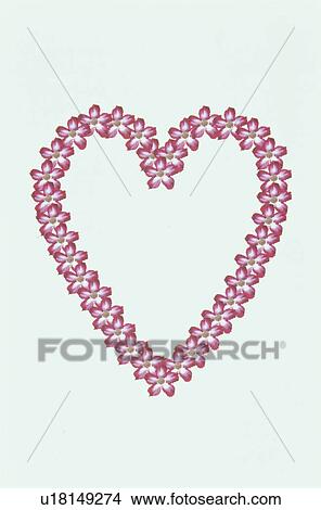 The Heart View Large Photo Image Picture - The Heart. Fotosearch