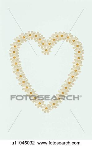 The Heart View Large Photo Image Stock Image - The Heart. Fotosearch