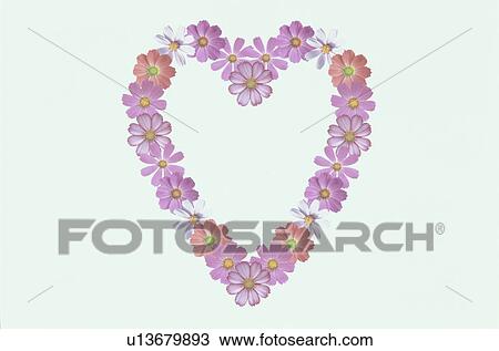 The Heart View Large Photo Image Stock Image - The Heart. Fotosearch
