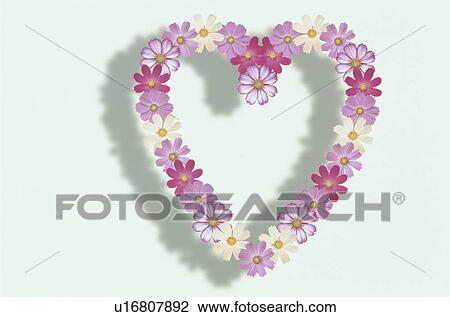 The Heart View Large Photo Image Stock Image - The Heart. Fotosearch