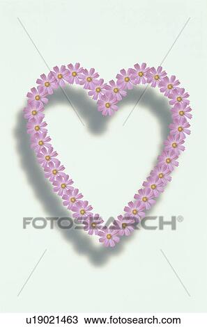 Stock Image - The Heart. Fotosearch
