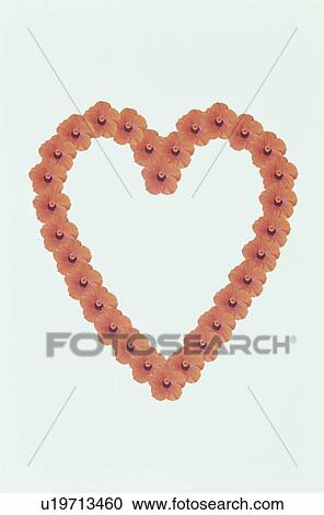 Stock Image - The Heart. Fotosearch