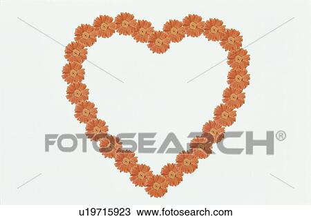 Stock Image - The Heart. Fotosearch