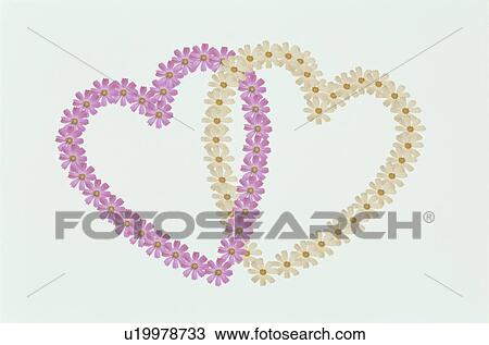 Stock Image - The Heart. Fotosearch