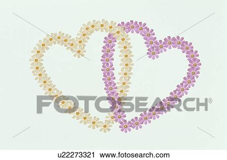 The Heart View Large Photo Image Stock Image - The Heart. Fotosearch
