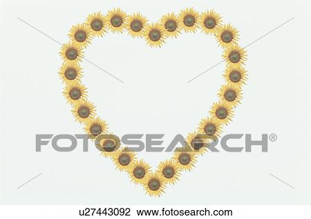 The Heart View Large Photo Image Stock Image - The Heart. Fotosearch
