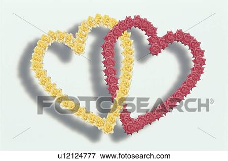 The Heart View Large Photo Image Stock Photo - The Heart. Fotosearch