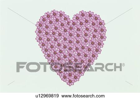 Stock Photo - The Heart. Fotosearch