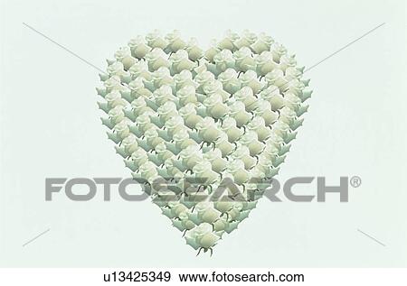 The Heart View Large Photo Image Stock Photo - The Heart. Fotosearch