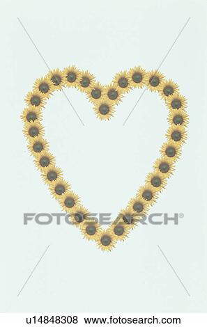 The Heart View Large Photo Image Stock Photo - The Heart. Fotosearch