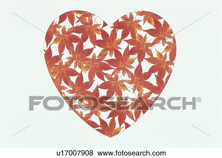 The Heart View Large Photo Image Stock Photo - The Heart. Fotosearch