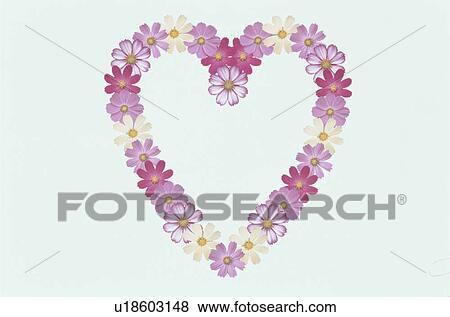 Stock Photo - The Heart. Fotosearch