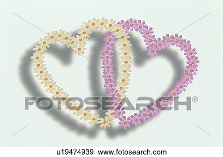 Stock Photo - The Heart. Fotosearch