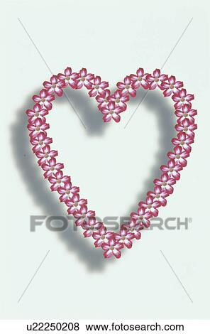 Stock Photo - The Heart. Fotosearch