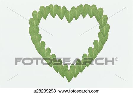 Stock Photo - The Heart. Fotosearch