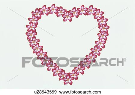 Stock Photo - The Heart. Fotosearch