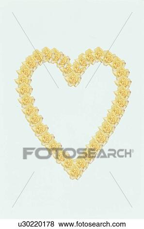 Stock Photo - The Heart. Fotosearch