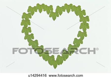 Stock Photograph - The Heart. Fotosearch