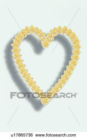 The Heart View Large Photo Image Stock Photograph - The Heart. Fotosearch