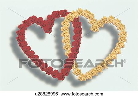The Heart View Large Photo Image Stock Photograph - The Heart. Fotosearch