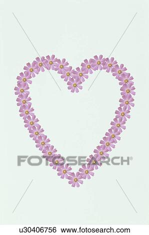Stock Photograph - The Heart. Fotosearch