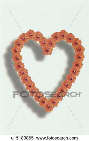 Stock Photography - The Heart. Fotosearch