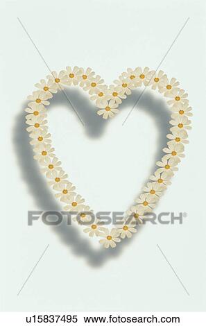 Stock Photography - The Heart. Fotosearch