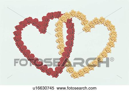 Stock Photography - The Heart. Fotosearch