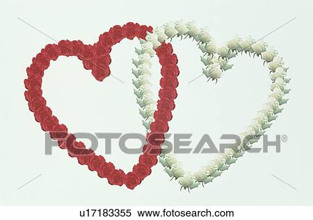 The Heart View Large Photo Image Stock Photography - The Heart. Fotosearch
