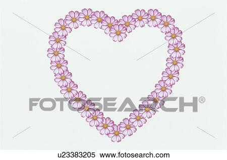 Stock Photography - The Heart. Fotosearch