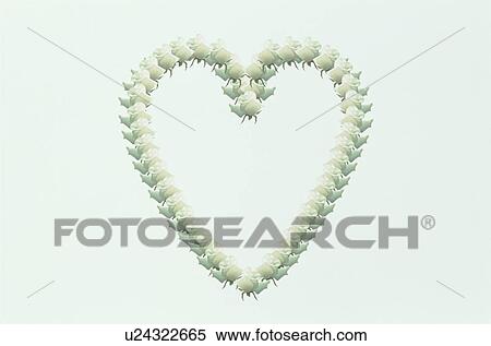 The Heart View Large Photo Image Stock Photography - The Heart. Fotosearch