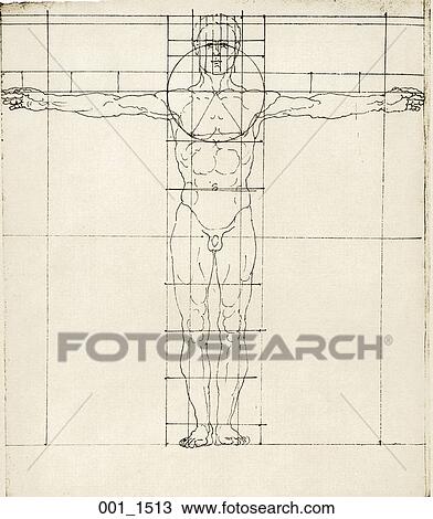 figure drawing foundations proportions download