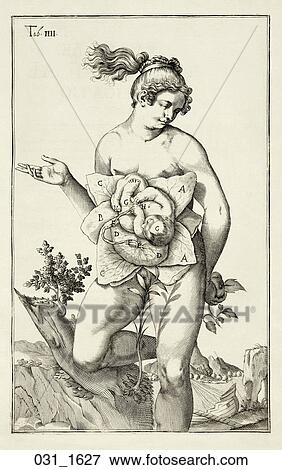 Stock Illustration - Antique Anatomical Illustration (engraving) of a female figure showing genito-urinary tract., Spigelii, 1627. Fotosearch