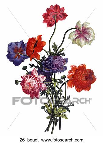 Stock Illustration - Antique Floral Illustration of Bouquet of Cut Flowers (color stipple engraving).,1804. Fotosearch