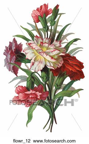 Drawing - Victorian Die Cut Flower Bouquet. Fotosearch