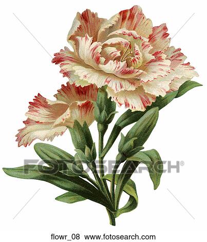Victorian Die Cut Illustration of a Flower View Large Illustration Stock Illustration - Victorian Die Cut Illustration of a Flower. Fotosearch
