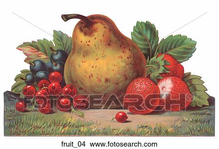 Victorian Die Cut Illustration of Fruit View Large Illustration Stock Illustration - Victorian Die Cut Illustration of Fruit. Fotosearch