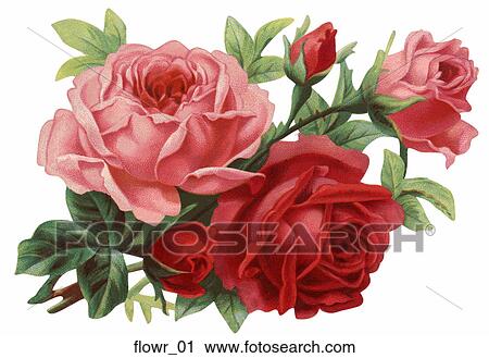 Clip Art - Victorian Die Cut Illustration of Roses. Fotosearch