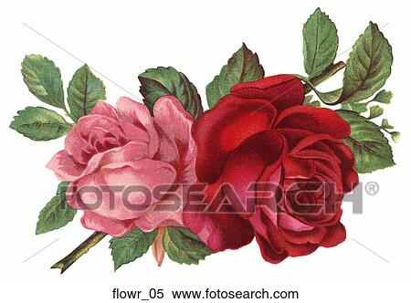 Stock Illustration - Victorian Die Cut Illustration of Two Roses. Fotosearch