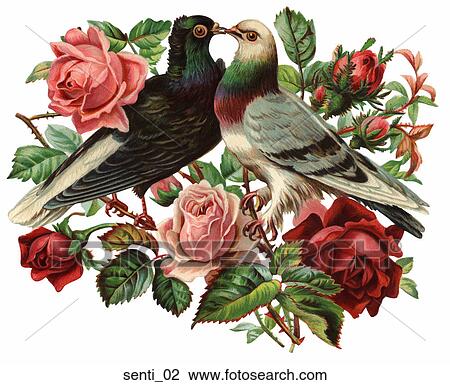 Victorian Die Cut Sentimental Illustration of Kissing Birds and Roses View Large Illustration Drawing - Victorian Die Cut Sentimental Illustration of Kissing Birds and Roses . Fotosearch